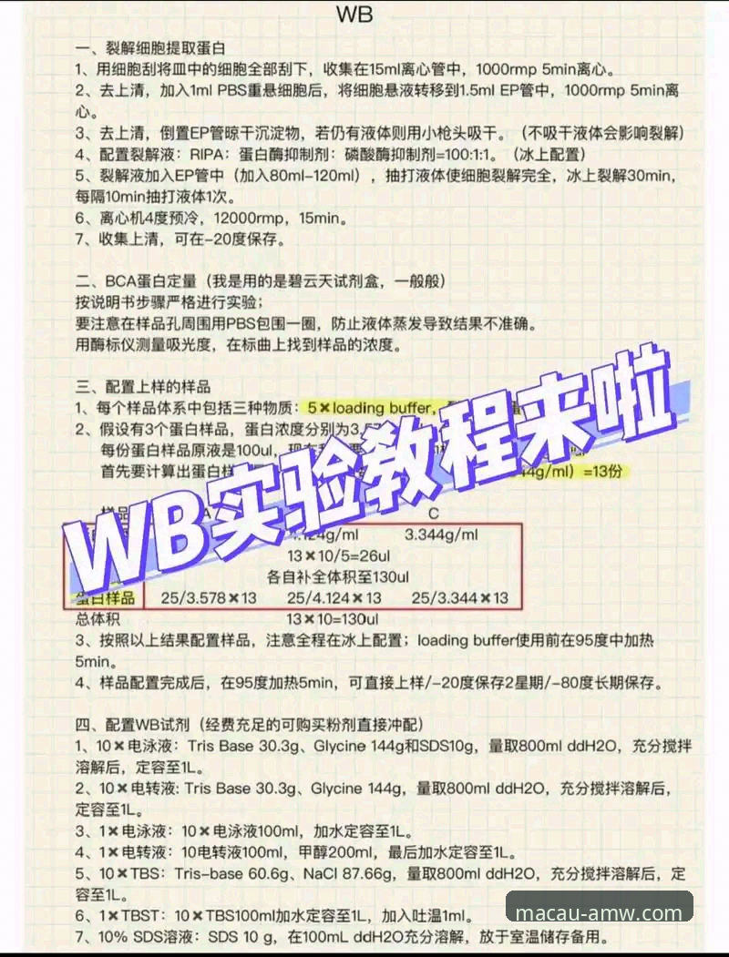 深度揭秘：AMW体验如何安装教程背后的行业逻辑与实操指南